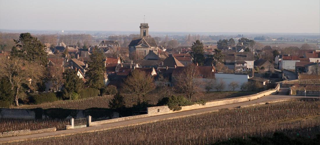 Domaine Violot-Guillemard Bed & Breakfast Pommard Bagian luar foto
